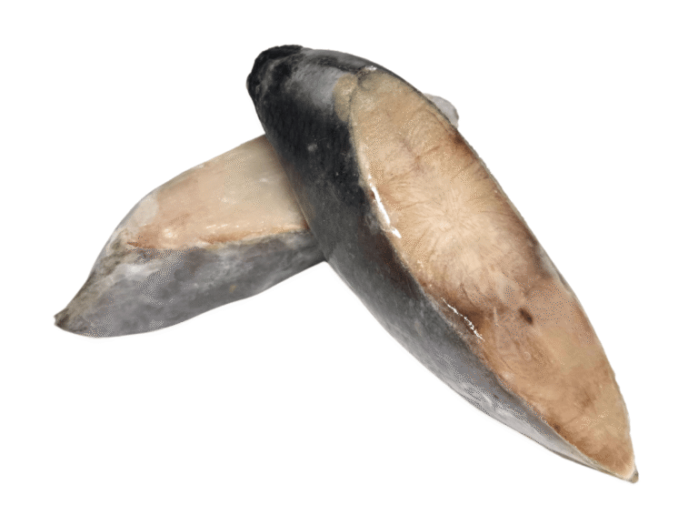 Anchova