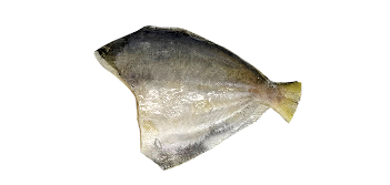 Gordinho